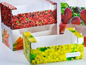Landwirtschafts-Früchte-Box